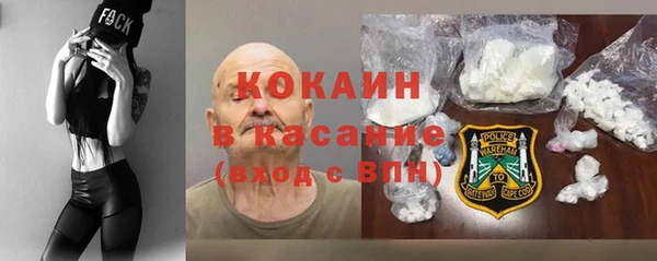 сатива Надым