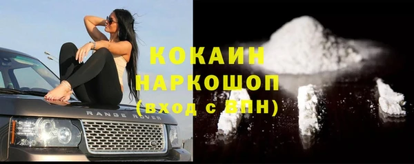 сатива Надым