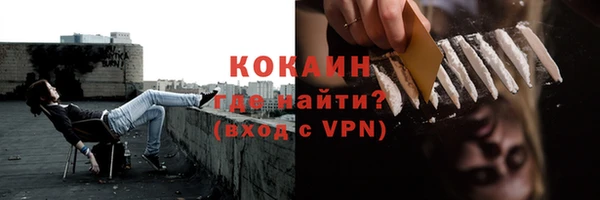сатива Надым