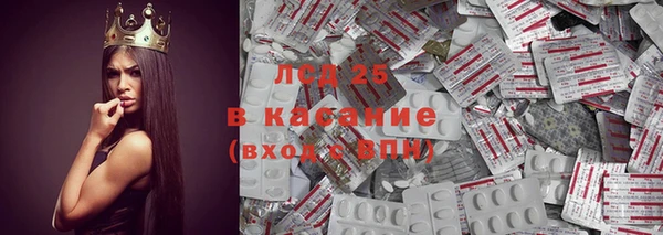 сатива Надым
