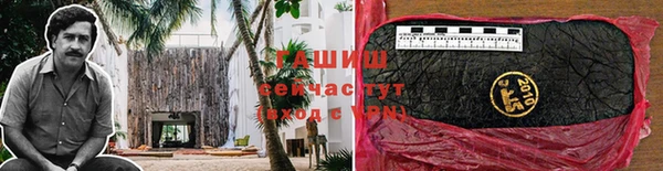сатива Надым