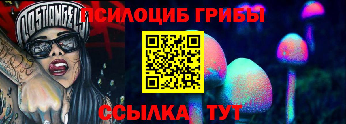 Псилоцибиновые грибы Cubensis Ханты-Мансийск